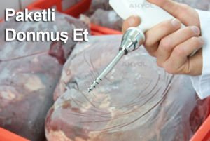 Testo 105 Burgulu Batırmalı Termometre Donuk Ürünler İçin