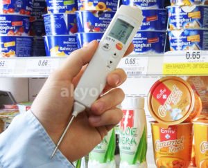 Testo 826-T4 Daldırma Problu İnfrared Gıda Termometre