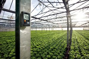 Testo 174H Sıcaklık ve Nem Kayıt Datalogger Cihazı (Tek Cihaz)